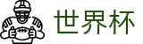 国际足联世界杯官方买球大厅_登录唯一主站和官方窗口
